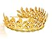 Bridal Hair Crown Headband Vintage Gold Tiara with Adjustable Multi Leaf Branch - Goddess Dainty Wedding Headpiece