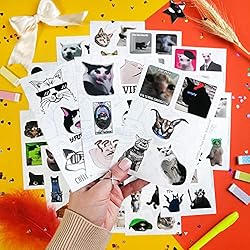 BulbaCraft 100Pcs Cat Meme Stickers - Funny Cat
