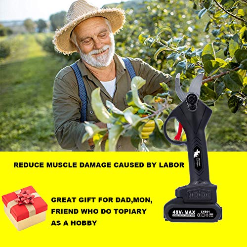 HEYPORK Elektrische Gartenschere Set mit Akku und Ladegerät, Mini Elektro Astschere Gardena mit 48V Batterie für… – Bild 8