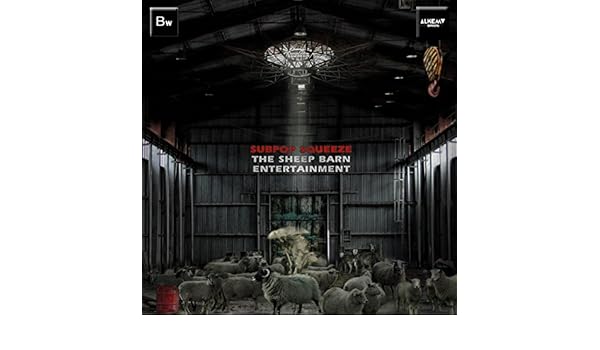 The Sheep Barn Entertainment By Subpop Squeeze On Amazon Music