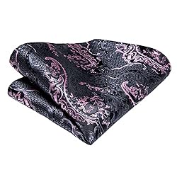 Hi-Tie Silk Black and Pink Paisley Necktie and