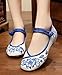 AvaCostume Chinese Traditional Paper Cut Art Embroidery Flats Mary Jane Shoes 38 White