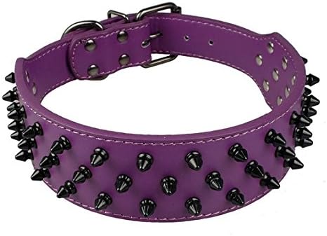 purple spiked dog collar