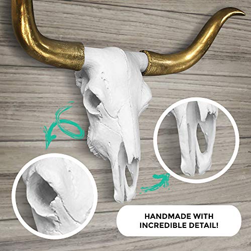 WallCharmers Gold and White Longhorn Skull Wall Decor, Faux Taxidermy Bull Horns for Wall, Goes