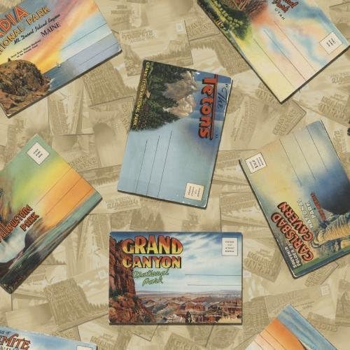 1/2 Yard - National Parks Postcards "American Vintage - Road Trip U.S.A." Tossed on Pastel Green 100% Cotton Fabric (Great for Quilting, Sewing, Craft Projects, Quilt, Throw Pillows & More) 1/2 Yard