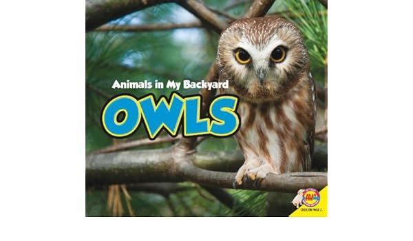 Owls Animals In My Backyard Aaron Carr 9781621272137 Amazon