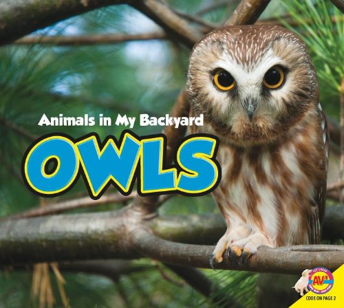 Owls Animals In My Backyard Aaron Carr 9781621272137 Amazon