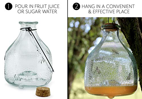 Darware Glass Wasp Traps (2-Pack); Wasp Catchers for Garden and Home Use - Thumbnail 5