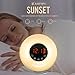 Bioxo Sunrise Simulation Alarm Clock, 5 Colors Atmosphere Lamp Wake-up Light, 3-Brightness Bedside Light, Touch Control Morning Alarm Light with Nature Sounds & FM Radio White