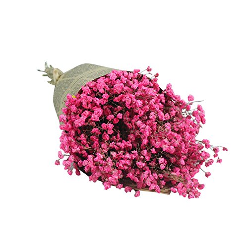Clearance Artificial Fake Flowers,Jushye Natural Dried Floral Full Stars Gypsophila Baby's Breath Home Decor (H)