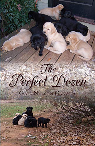 The Perfect Dozen by Gail Canada