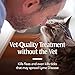 PetArmor Plus Flea and Tick Prevention for Cats, Cat Flea and Tick Treatment, 3 Doses, Waterproof Topical, Fast Acting, Cats Over 1.5 lbs