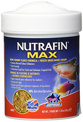 Nutrafin Max Brine Shrimp, 1.23-Ounce
