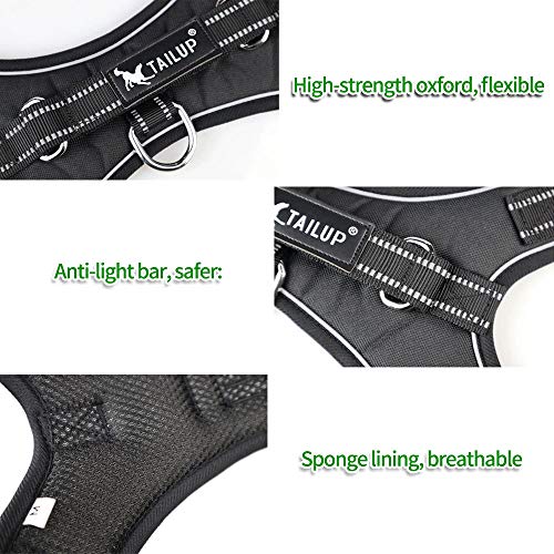 baobë Adjustable Outdoor Pet Vest Light Weight Dog Harness Dogs Leash Set with Reflective Oxford Material for Large Medium Dogs Outdoor Training Walking