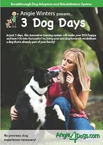 dog experience days