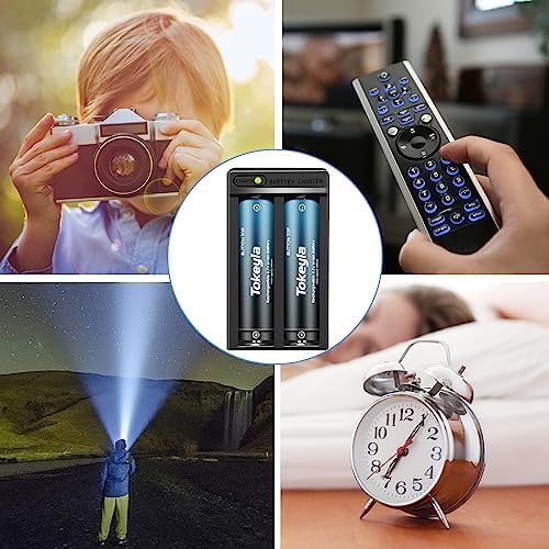 2 Bay 18650 Rechargeable Battery Charger,Smart Charger for Flashlight Headlamp 3.7Volt Lithium ion Batteries(4Pcs Button Top Ba??tt?er??y+Charger)