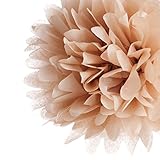 Dress My Cupcake 10