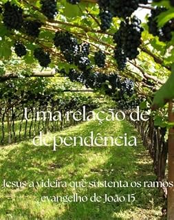 Livro Uma relação de dependência : Jesus a videira verdadeira