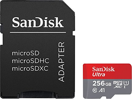 1 SanDisk+256GB+microSDXC+Memory+Adapter