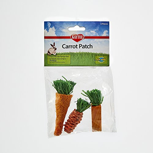Kaytee 3 Count Chew Toy, Carrot Patch Variety