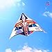 Mint's Colorful Life Fighter Air Plane Kite for Kids/Adults, Easy to Fly Large Single Line Delta Airplane Kite, Athena