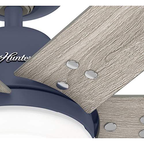 Hunter Fan Company 51206 Pacer Ceiling