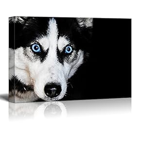 Dogs Series Canvas Wall Art - A Husky Dog Against Black Background - Giclee Print Gallery Wrap Modern Home Art Ready to Hang - 12x18 inches