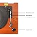 HOFEINZ Vintage Style Natural Wood Belt Driven Turntable with 3 Speed Built in Stereo Speakers, Bluetooth and Vinyl-to-MP3 Recording