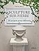 Sculpture sur pierre : 18 projets pour débuter by 