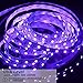 Onforu 49.2ft LED Black Lights Strip Kit, 900 Units Lamp Beads, 12V Flexible Black light Strip Lighting, 15M Black Light LED Strips for Glow Party, Bedroom, Game Room, Night Club, Halloween Decoration