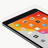 Belkin iPad Mini 5 Screen Protector