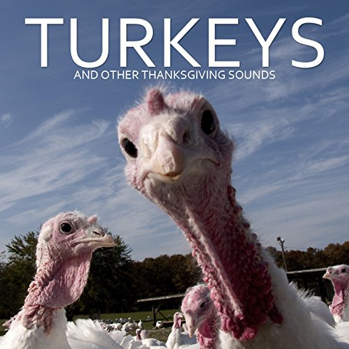 Wild Turkey Gobble Sound Effects by Dr. Sound Effects on Amazon Music