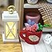 Flever Dollhouse Miniature DIY House Kit Creative Room With Furniture and Cover for Romantic Valentine's Gift(A Little Luckiness)