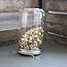 Trellis + Co. | Stainless Steel Sprouting Kit, 4 Pack | Rust Proof 316 Stainless, Curved Mesh, Fits Most Wide Mouth Mason Jars | Grow Your Own Organic Sprouts From Seeds, Sprouter
