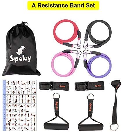 SPOLEY Resistance Band Set-4 Double-Layer Stackable Latex Bands-to Resistance Training, Physical Therapy, Home Workout for Man and Woman, Old and Young