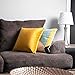 Plain Throw Pillow Cushion Inserts: White Square Throw Pillows for Couch, Sofa, Bed - 20 Inch x 20 Inch Pillow Insert, Set of 2 - Euro Accent Pillow Stuffers for Sham Covers - Large Filler Cushions