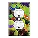 Ninja Turtles Decorative Duplex Outlet Wall Plate Cover