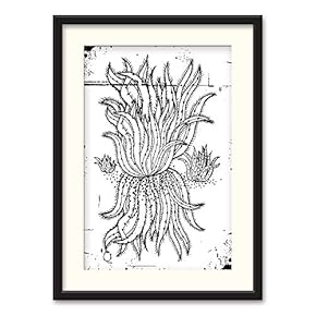 Black Framed Canvas Wall Art Nordic Style Plant Home Artwork Decoration for Living Room, Bedroom - 23x31 inches