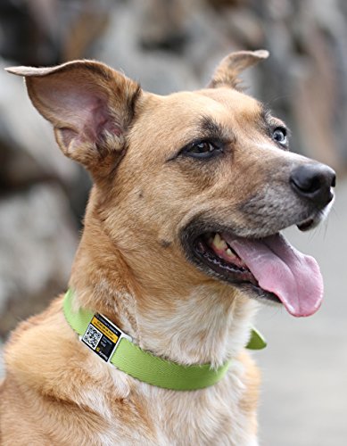 Dynotag Web/GPS Enabled QR Code Smart Stainless Steel SLIDER Pet Tag (OPEN SLOT, Tag only, for 1 inch Collar Band)