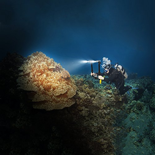 SHOOT 100M Underwater 900LM Diving Video/Camera Photography Torch Flashlight Focus Beam Flex Gooseneck Arm Tray for GoPro Hero 7,6,5,4,3+,4S,5S/Hero(2018)/Fusion with Stabilizer Grip