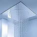 Rainshower F-Series 1-Spray 20 In. Ceiling Showerhead