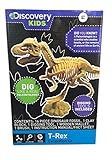 Discovery Kids Dinosaur Excavation Kit ~ Dig Like a Real Paleontologist (T-Rex)