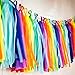 Bobee Rainbow Party Decorations 42 Piece Rainbow DIY Pom Poms and Tassel Garland