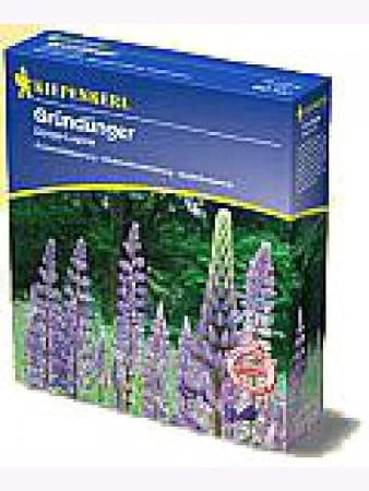 Düngelupinen Gründünger