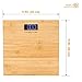 Modern Genuine Bamboo Weighing Body Scale w/400lb capacity Digital Blue Backlight LCD Screen by Wasserstein