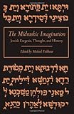 The Midrashic Imagination : Jewish Exegesis, Thought, and History, , 0791415228