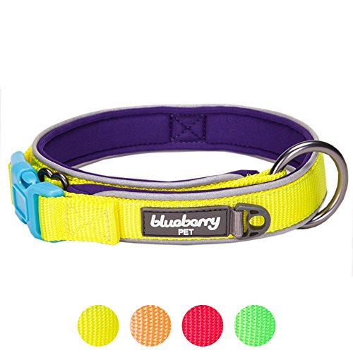 Blueberry Pet Reflective Dog Collar Extensive Review Dog Products Guide