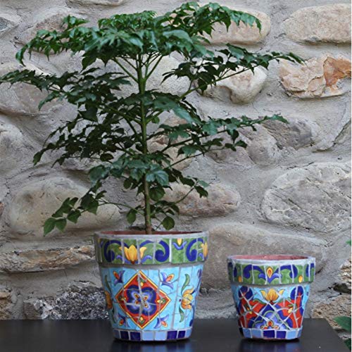 Blumenkübel Blumentopf Pflanztopf Keramik Sukkulent Topf Pflanzgefäß Kaktus Topf Blumentöpfe für Büro Home Schreibtisch… – Bild 6