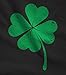Tstars St Patricks Day Shirt Irish Shamrock Clover Women Teens Fitted V Neck T-Shirt X-Large Black