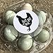 Just Got Laid Stickers, Egg Carton Stickers, Just Got Laid, Egg Labels, 24 Stickers